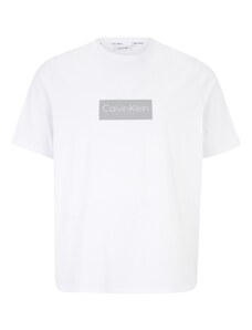 Calvin Klein Big & Tall T-Shirt gris argenté / blanc