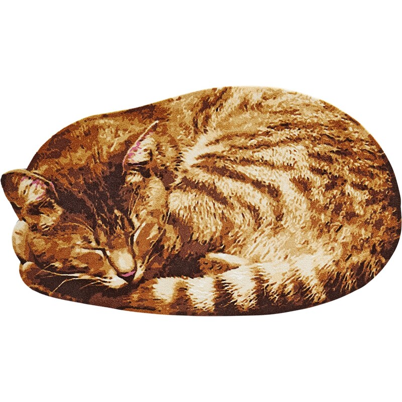 bpc living Bonprix - Paillasson Cat marron pour maison