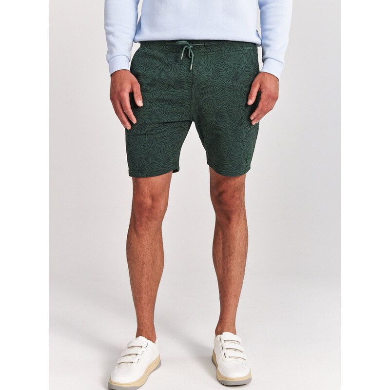 Shiwi Pantalon marine / vert