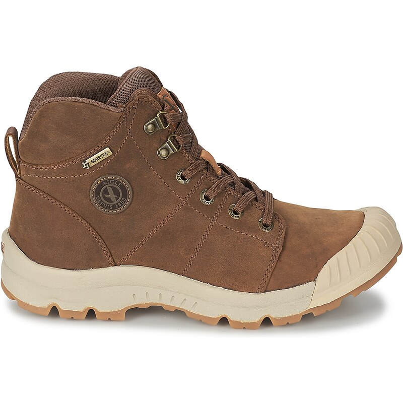 Aigle Chaussures TENERE LIGHT LEATHER GTX
