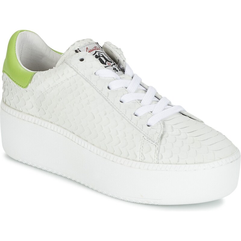 Ash Chaussures CULT