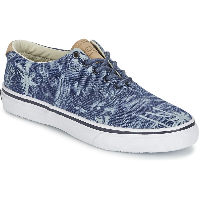 Sperry Top-Sider Chaussures STRIPER CVO CHAMBRAY
