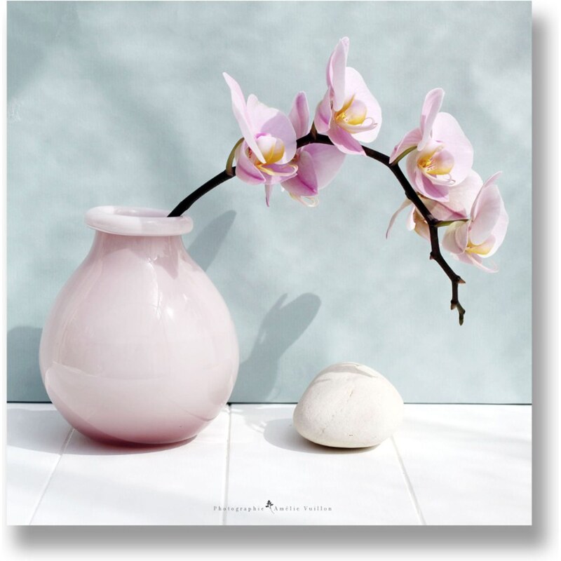 Tableau photo sur toile Orchidees vase Artmosphere