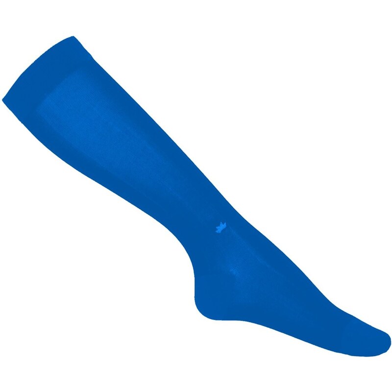 Dagobear Paire de chaussettes bleues - Chaussettes - bleu