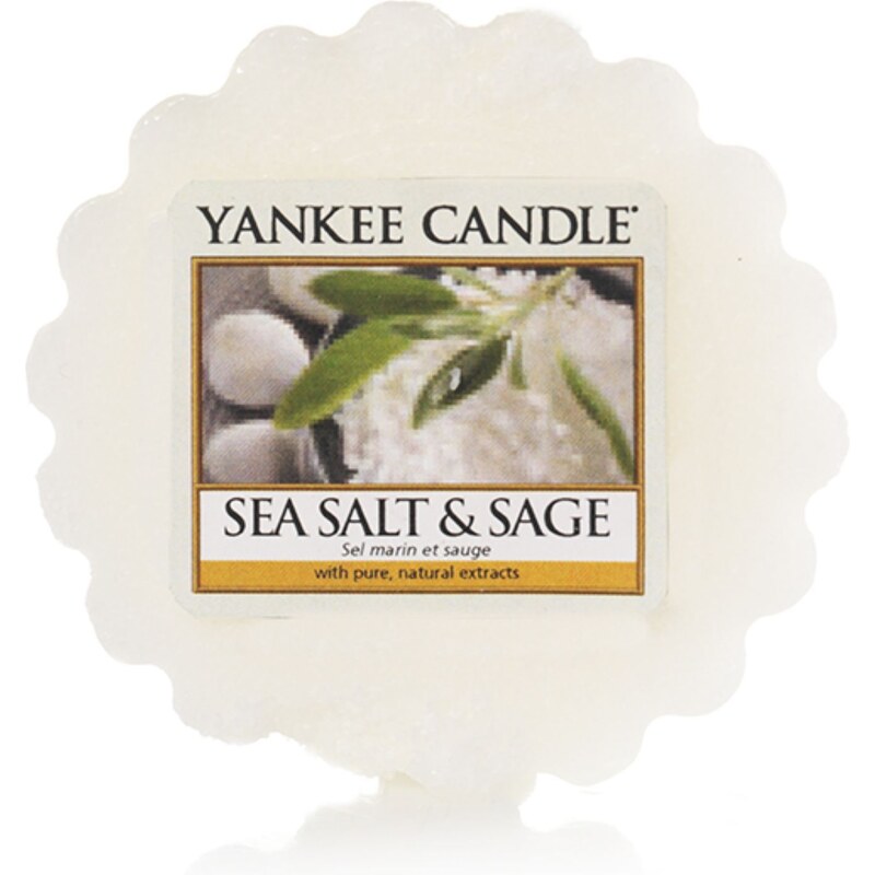 Yankee Candle Sel marin et sauge blanc - Tartelette - blanc
