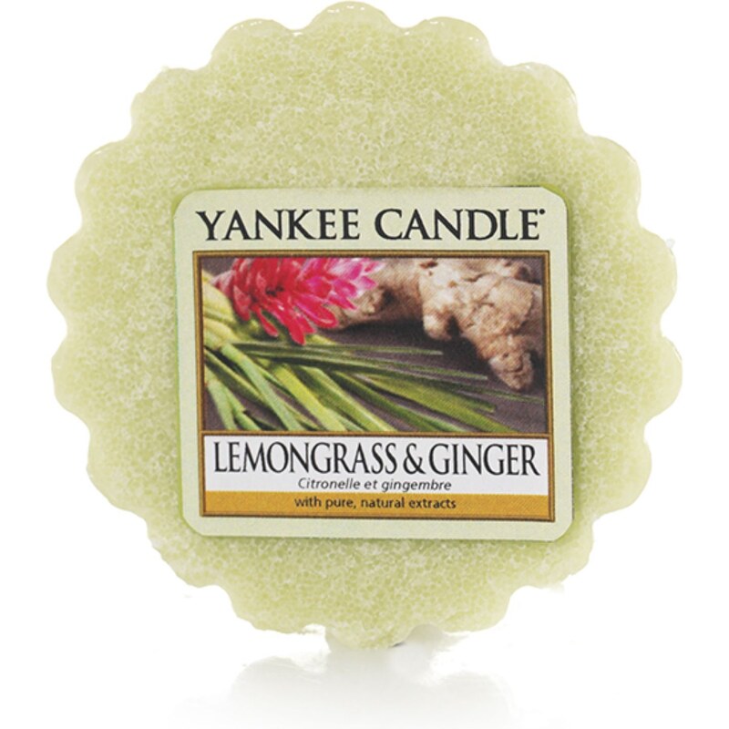 Yankee Candle Olive et Thym vert - Tartelette - vert clair
