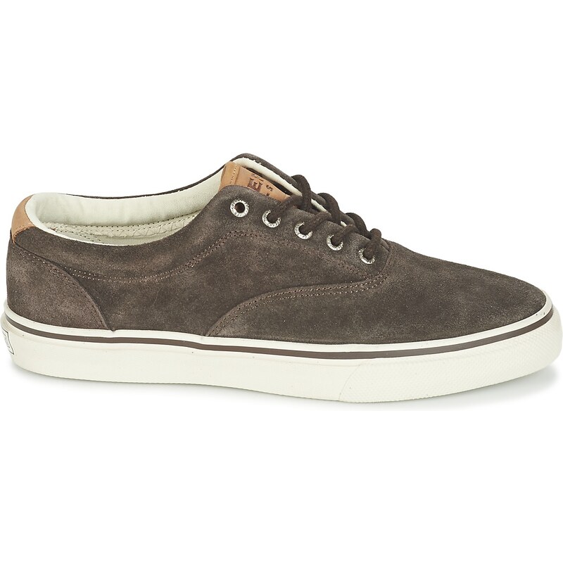 Sperry Top-Sider Chaussures STRIPER LL CVO SUEDE