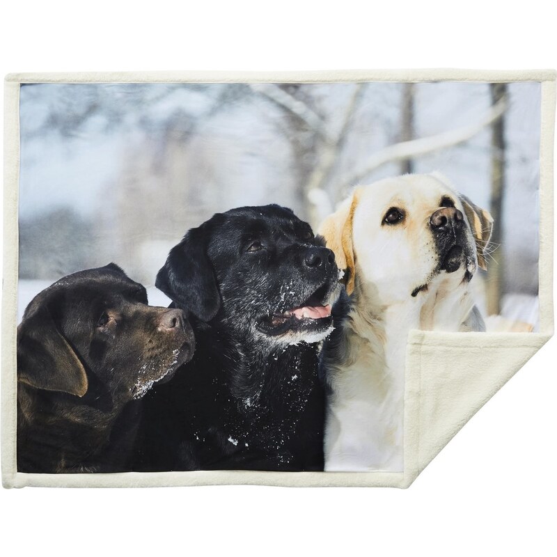 Home Linen Plaid imprimé 3 chiens - 150x200 cm - 100% polyester - 1 face microfibre + 1 face Sherpa
