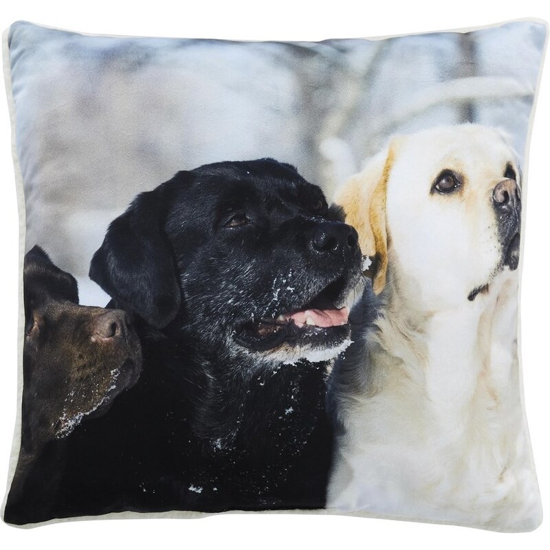 Home Linen Coussin imprimé 3 chiens - env. 45x45 cm - 100% polyester - 1 face microfibre + 1 face Sherpa
