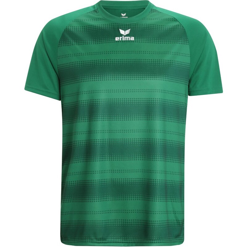Erima SANTOS Vêtements d'équipe smaragd green