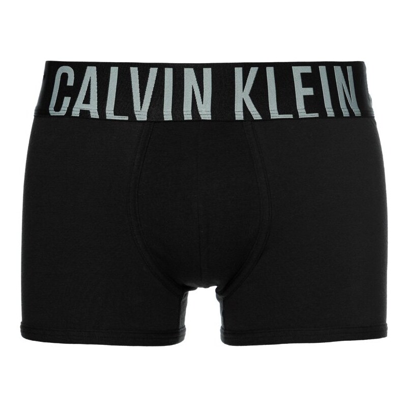 Calvin Klein Underwear POWER Shorty black