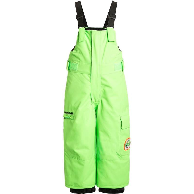 Quiksilver BOOGIE Pantalon de ski green gecko
