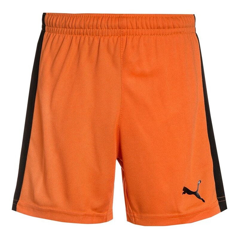 Puma PITCH Short de sport team orange/black