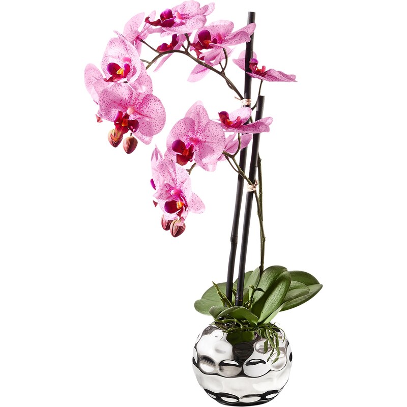 bpc living Bonprix - Orchidée artificielle fuchsia pour maison