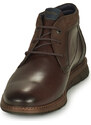 Fluchos Boots 0978-HABANA-CASTANO >