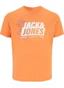 Jack & Jones Plus T-Shirt orange / blanc